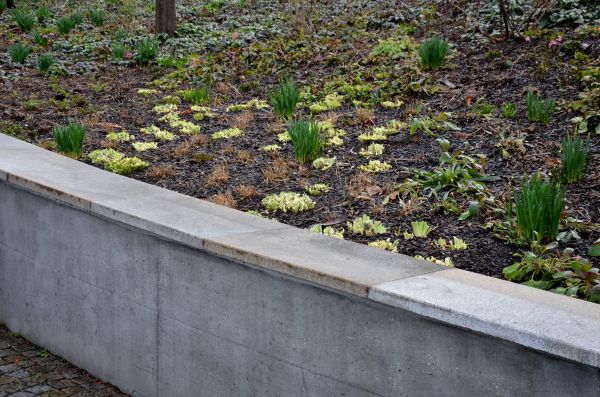 Concrete Wall Construction