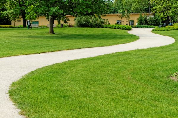 Sidewalk Laying