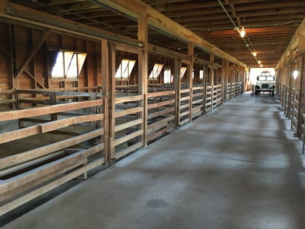 Barn Floor Pouring Service